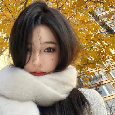 木材宝藏狗